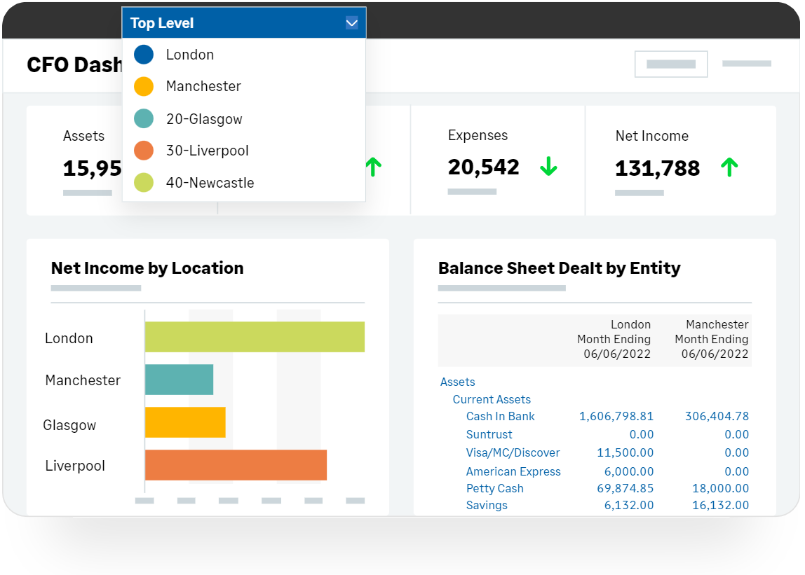 CFO Sage Intacct